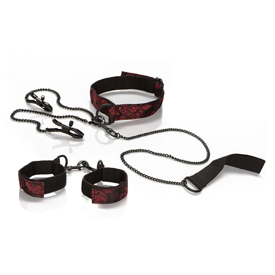 CALEXOTICS – SCANDAL KIT PER LA PRESENTAZIONE