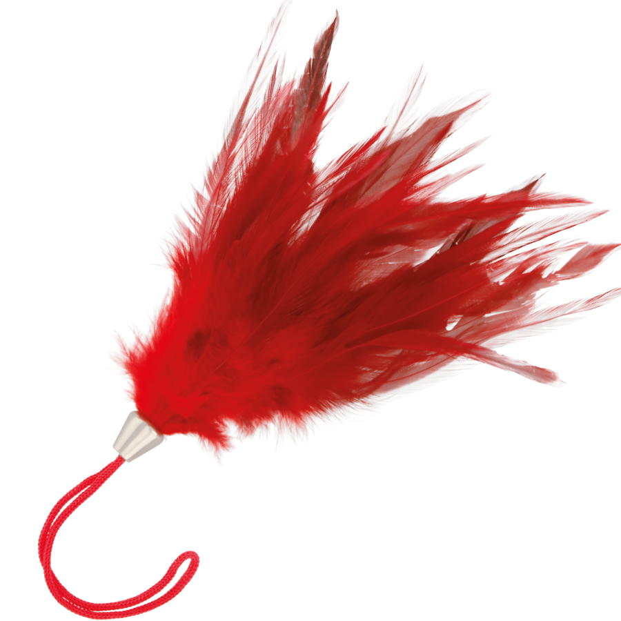 Piumino Bdsm Stuzzicante Darkness Feather Rosso 17 cm