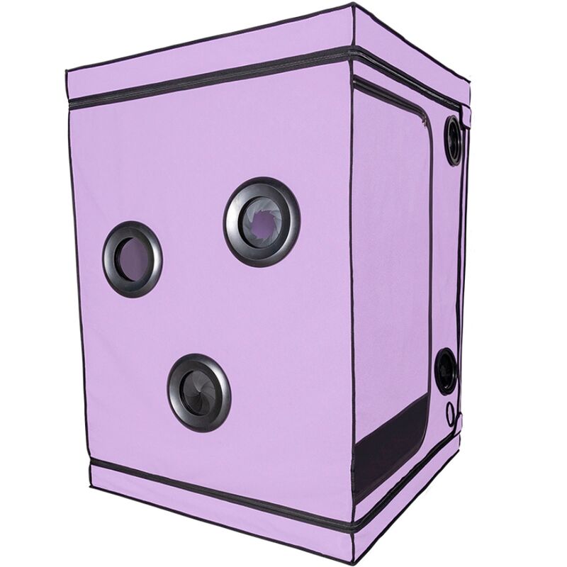 SECRET DOME – KINK CLUB CABIN SCANDALE VIOLA